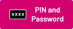 Pin-password-butt.png