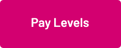 Pay-levels-button.png