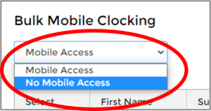6.1 Select No Mobile Access.png